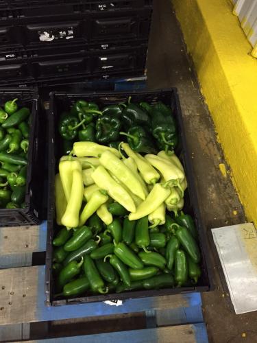 Pirrone peppers in crate