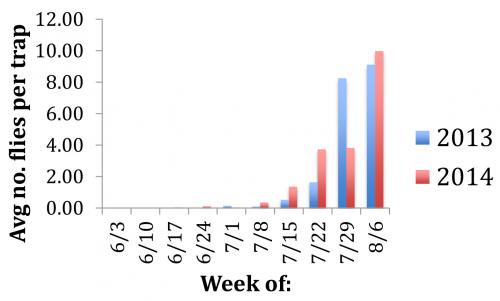 SWD graph