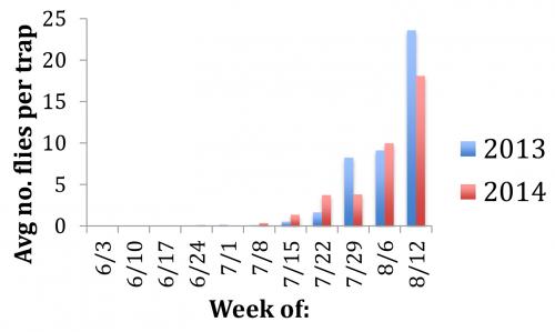 SWD graph