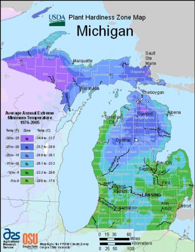 Michigan hardiness zones
