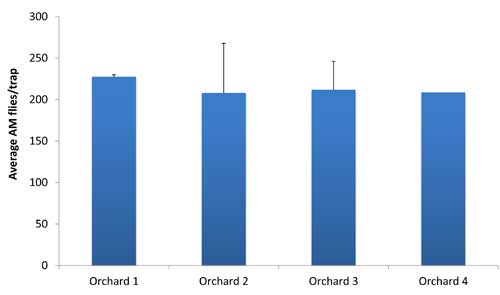 Apple maggot graph