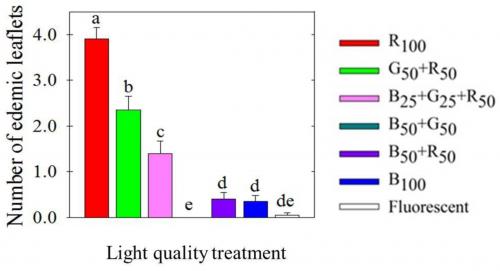 Leaflets on tomato graph