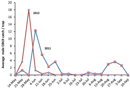 OBLR graph