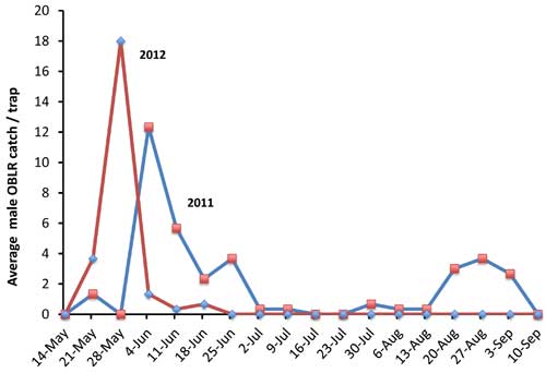 OBLR graph