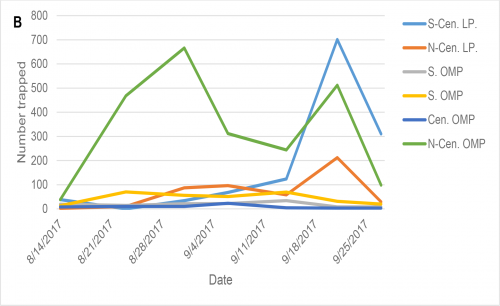 Figure 1B