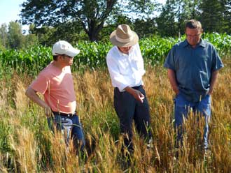 Inspecting plots