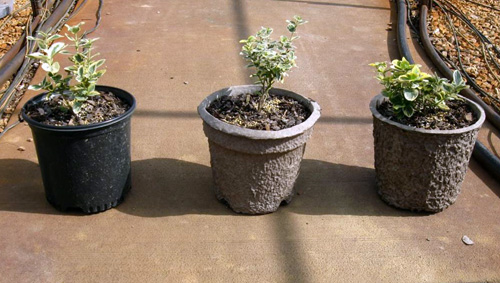 Plastic and fiber pots