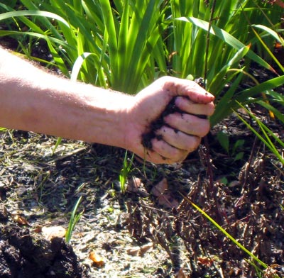 Wringing a ball of soil