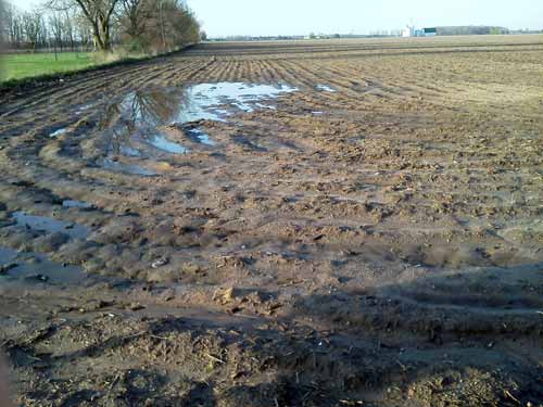 Standing water