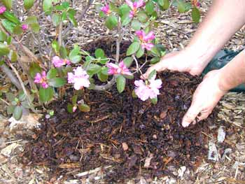 Mulch