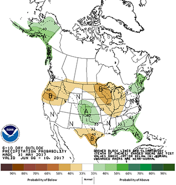 <h3><strong>Weather</strong></h3> <p>Weather this past week has continued to be nearly ideal for planting in most locations in south central and southwest Michigan, with rain missing most areas. Showers tended to be short-lived, although several sites received up to 0.45 inch of rain earlier in the week. Precipitation in some locations in May was on par with the unusually wet weather in May 2015 (Figure 1), although most have been closer to the five-year average.</p> <p><img alt=". Precipitation (inches) in May 2017 for several MSU Enviroweather sites in south central and southwest Michigan. " height="500" src="/uploads/images/Plant%20Ag/Fig1-SWreport-6-2-17.png" style="border: 1px solid black;" width="421" /></p> <p class="caption">Figure 1. Precipitation (inches) in May 2017 for several <a class="external_link" href="https://enviroweather.msu.edu/"><abbr title="Michigan State University">MSU</abbr> Enviroweather</a> sites in south central and southwest Michigan.</p> <p>Temperatures have been cooler than normal for this time of year with most locations in the region receiving only 70 percent of the heat units (growing degree-days, GDD 86/50) in May compared with the five-year average. Michigan State University climatologist Jeff Andresen says temperatures should be only 2-4 degrees Fahrenheit cooler than normal in the coming week.</p> <p>The 6-10 day outlook from the <a class="external_link" href="https://www.weather.gov/">National Weather Service</a> predicts cooler and drier than normal conditions in Michigan (Figure 2), although the 8-14 day outlook predicts a return to normal precipitation levels by mid-June.</p> <p><img alt="The 6-10 day outlook from the National Weather Service for temperature (left) and precipitation (right). " height="476" src="/uploads/images/Plant%20Ag/6-10DayTemps-6-2-17_1.png" style="border: 1px solid black;" width="450" />&nbsp;<img alt="The 6-10 day outlook from the National Weather Service for temperature (left) and precipitation (right). " height="475" src="/uploads/images/Plant%20Ag/6-10DayRain-6-2-17_1.png" style="border: 1px solid black;" width="450" /></p> <p class="caption">Figure 2. The 6-10 day outlook from the National Weather Service for temperature (left) and precipitation (right).</p> <p>Assuming a planting date of May 14, current and forecasted GDD accumulation since planting is shown in Figure 3. GDDs can be particularly useful in corn to estimate timings of important growth stages. The <a class="external_link" href="https://mygeohub.org/groups/u2u/gdd">U2U Corn Growing Degree Day Tool</a> (see Figure 4 for a sample output) is one such tool that allows you to input your crop parameters to see when you can expect to reach, for example, silking based on predicted and average GDD accumulation.</p> <p><img alt="GDD (86/50 F) from May 14-31 (current, green/filled bar) and June 1-7 (forecast, outlined bar) for several MSU Enviroweather sites in south central and southwest Michigan" height="500" src="/uploads/images/Plant%20Ag/Fig3-SWreport6-2-17.png" style="border: 1px solid black;" width="424" /></p> <p class="caption">Figure 3. GDD (86/50 F) from May 14-31 (current, green/filled bar) and June 1-7 (forecast, outlined bar) for several <abbr title="Michigan State University">MSU</abbr> Enviroweather sites in south central and southwest Michigan.</p> <p><img alt="A sample output from the U2U Corn Growing Degree Day Tool." height="353" src="/uploads/images/Plant%20Ag/U2UGDDSample.png" style="border: 1px solid black;" width="500" /></p> <p class="caption">Figure 4. A sample output from the U2U Corn Growing Degree Day Tool.</p> <h3><strong>Crop report</strong></h3> <p>According to the <a class="external_link" href="http://usda.mannlib.cornell.edu/MannUsda/viewDocumentInfo.do?documentID=1048">Crop Progress Report for May 28, 2017</a> from USDA&rsquo;s National Agricultural Statistics Service (<abbr title="National Agricultural Statistics Service">NASS</abbr>), 84 percent of <strong>corn</strong> acres in Michigan were planted and half of that had emerged. For <strong>soybeans</strong>, 65 percent was planted and 27 percent had emerged.</p> <p>Progress in the region appears well-ahead of these statewide statistics, although many have had to wait for soil to dry out from earlier precipitation. Some farmers have had emergence problems as post-planting rains caused crusting. Rotary hoes, and in some cases <a href="/news/planting_and_irrigation_in_the_same_week">irrigation</a>, have been utilized to increase chances of successful emergence.</p> <p>Early-planted <strong>soybeans</strong> in a few fields we&rsquo;ve walked with heavier soil have struggled to emerge. If beans have not emerged by two weeks after planting, it&rsquo;s time to do a bit of digging to see whether <a href="/news/identifying_and_responding_to_soybean_emergence_problems">seeds/seedlings have been infected</a> with <em>Pythium</em> (wet and cool), <em>Phytophthora</em> (wet and warm) or other soil-borne diseases.</p> <p>Several days this past week have had particularly windy conditions, and at times have kept sprayers out of fields.&nbsp;<a class="external_link" href="http://www.ipm.msu.edu/agriculture/field_crops/horseweed_marestail">Horseweed (marestail)</a> has started to bolt&mdash;watch for lack of control with glyphosate. Apply effective burndown prior to soybean emergence, particularly if the field has been suspected of having glyphosate-tolerant marestail. If weeds are greater than 4 inches before planting, tillage may be preferred as long as they are sufficiently uprooted.</p> <p>For more information, there are several <a class="external_link" href="http://msuweeds.com/publications/extension-publications/"><abbr title="Michigan State University">MSU</abbr> Extension articles on herbicide-resistant weeds</a>. You can also check out <a href="/"><abbr title="Michigan State University">MSU</abbr> Extension</a> bulletin E0434, &ldquo;<a class="external_link" href="http://msuweeds.com/publications/weed-control-guide/">2017 Weed Control Guide for Field Crops</a>,&rdquo; or visit the <a class="external_link" href="http://www.msuweeds.com/"><abbr title="Michigan State University">MSU</abbr> Weeds website</a>.</p> <p><strong>Wheat</st
ong> in the region reached the flowering stage at some point in the past two weeks, and many farmers have made head scab fungicide applications. The <a class="external_link" href="http://www.wheatscab.psu.edu/">Fusarium Head Blight Prediction Center</a> at Pennsylvania State University is currently predicting low risk of Fusarium head blight in Michigan (Figure 5), although it is recommended farmers check the website often as the disease can escalate quickly.</p> <p>Fields we have visited have shown only minor symptoms of leaf diseases, but a field in southeast Michigan reportedly had heavy flag leaf infection, highlighting the importance of scouting.</p> <p><img alt="Model predictions of fusarium head blight risk in Michigan according to the Fusarium Head Blight Prediction Center at Penn State. With varieties exhibiting slight or moderate resistance, risk is low throughout the Lower Peninsula." height="294" src="/uploads/images/Plant%20Ag/FHBModel.png" style="border: 1px solid black;" width="500" /></p> <p class="caption">Figure 5. Model predictions of fusarium head blight risk in Michigan according to the Fusarium Head Blight Prediction Center at Penn State. With varieties exhibiting slight or moderate resistance, risk is low throughout the Lower Peninsula.</p>