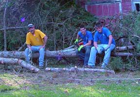 Pruning crew