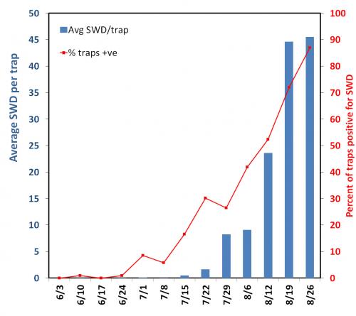 SWD graph