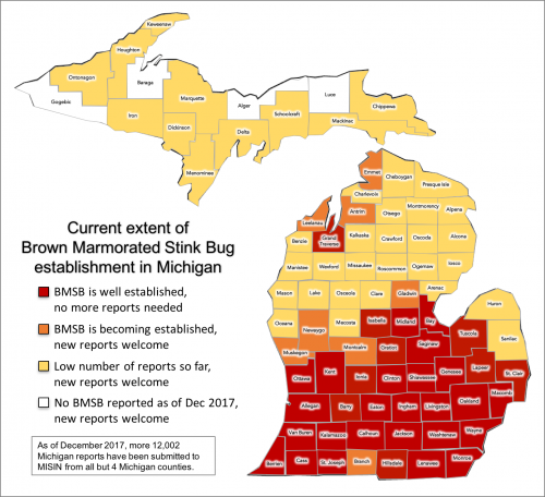 BMSB map