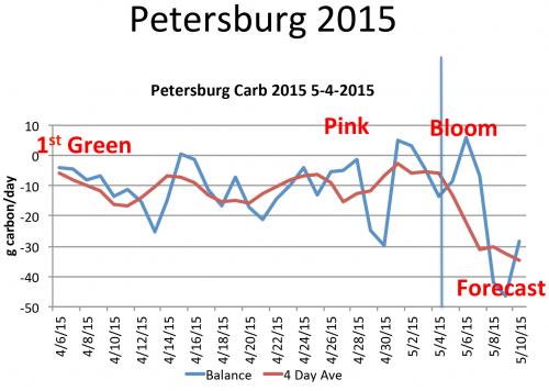 Petersburg carbohydrate model