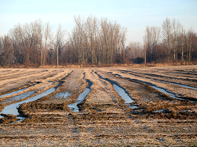 Combine harvest ruts