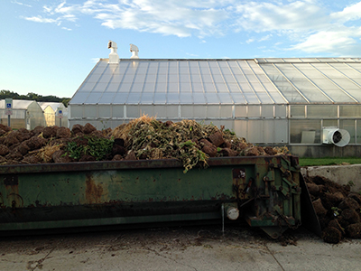 Compost pile