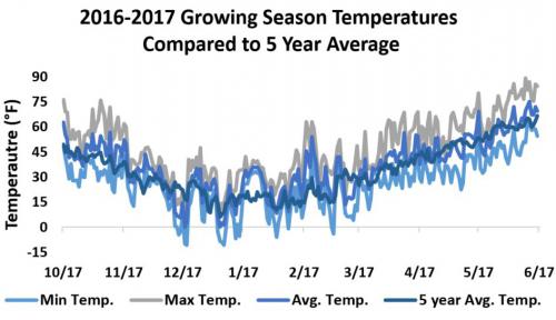 Temperature summary graph