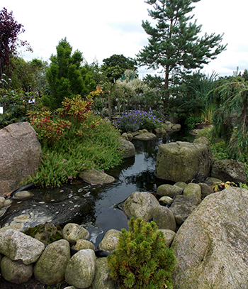 Water feature