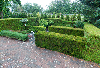 Demonstration gardens