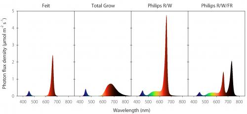 LED lamps graph