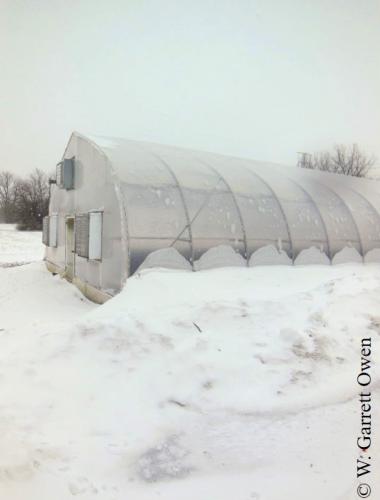 Snow accumulation near greenhouse