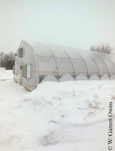 Snow accumulation near greenhouse