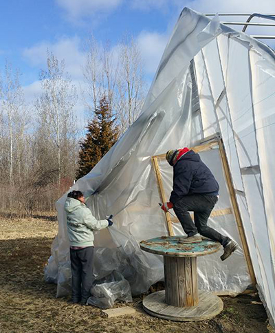 Hoophouse wind damage