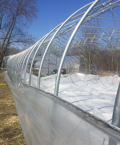 Hoophouse wind damage