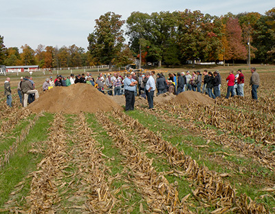 Interseeded cover crops in October
