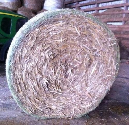 Low moisture bale