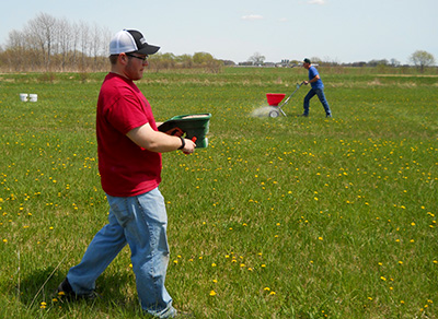 Spreading lime and fertilizer