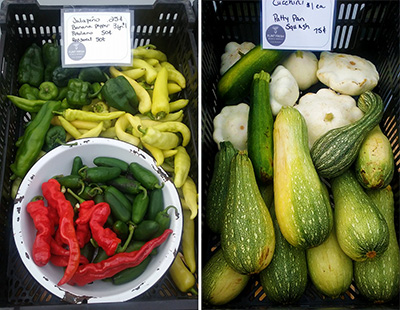 Peppers and squash