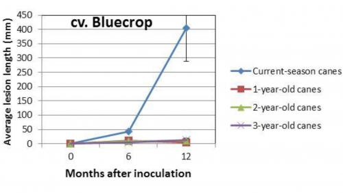 Phomopsis susceptibility graph