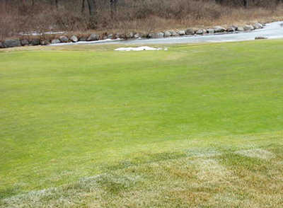 Putting green after winter