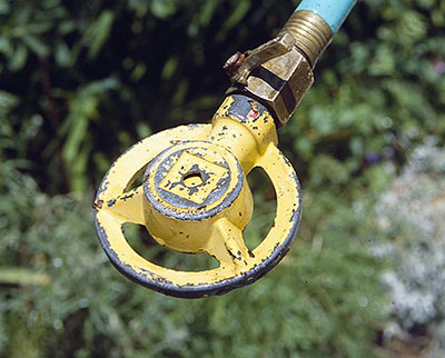Top 10+ How much water for a vegetable garden 6 Smart watering in the vegetable garden - MSU Extension