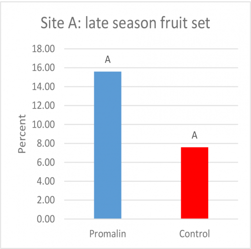 Figure 2A