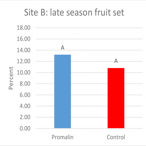 Figure 2B