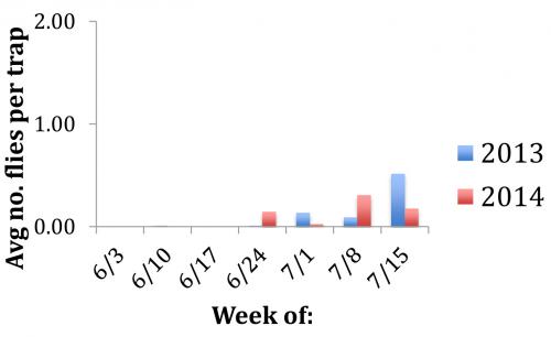 SWD repot graph