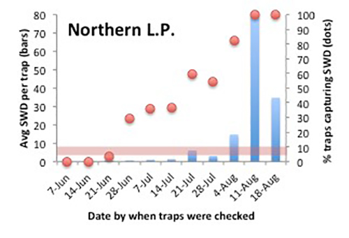 SWD Northern LP graph
