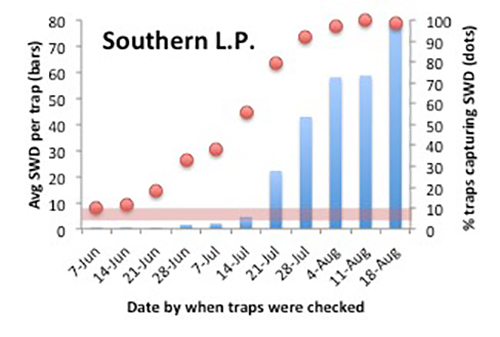 SWD Southern LP graph