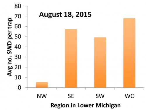 SWD graph