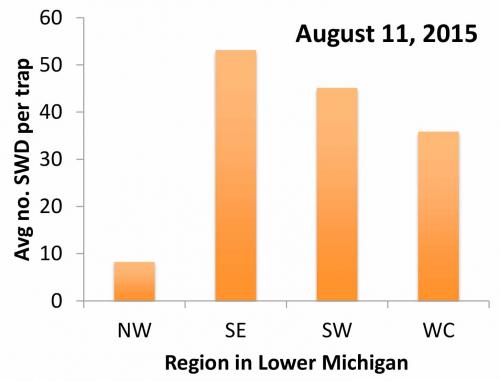 SWD trap catches graph