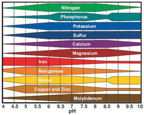 Nutrient Uptake Chart