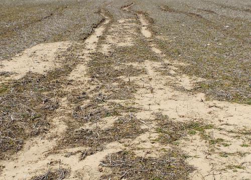 Soil erosion