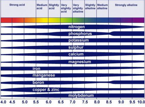 pH chart