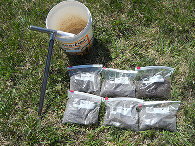 Collected soil samples
