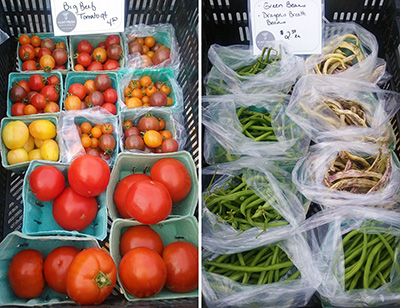 Tomatoes and green beans