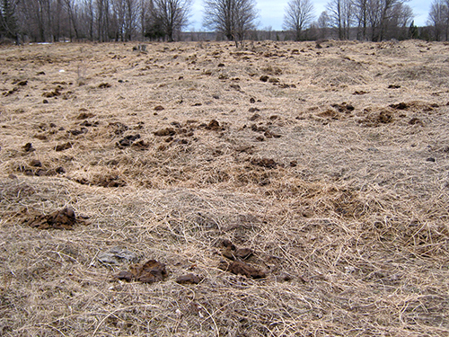 Winter feeding site