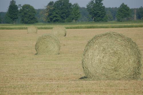 bales of hay